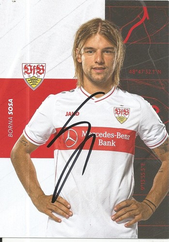 Borna sosa vfb - borna,