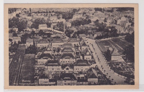52270 borna original - borna,