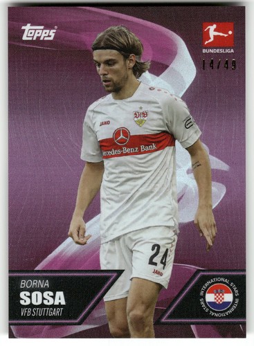 Borna sosa 2023 - sosa,